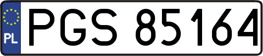 PGS85164