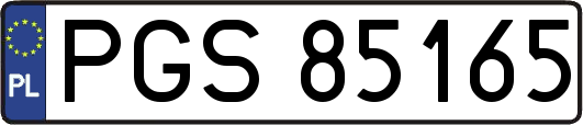 PGS85165