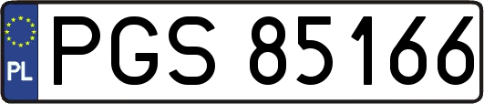 PGS85166
