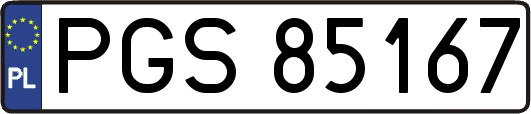 PGS85167