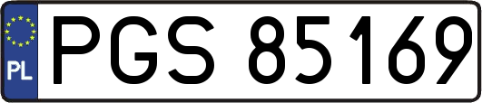 PGS85169