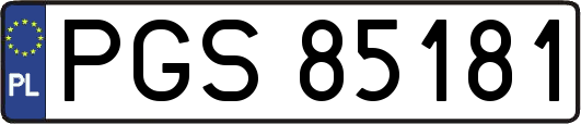 PGS85181