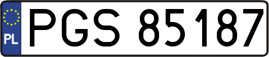 PGS85187