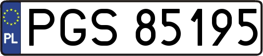 PGS85195
