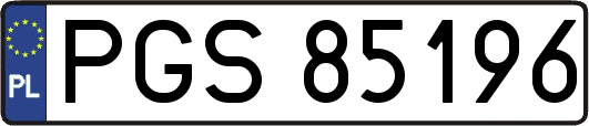 PGS85196