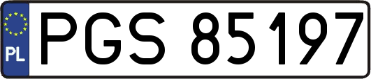 PGS85197