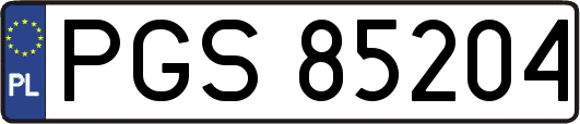 PGS85204