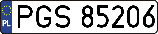 PGS85206