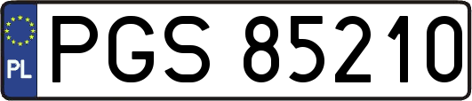 PGS85210