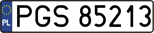 PGS85213