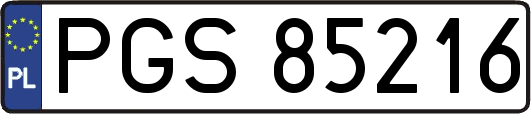 PGS85216