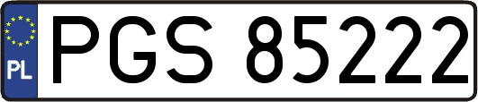 PGS85222