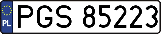 PGS85223