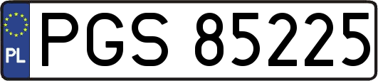 PGS85225