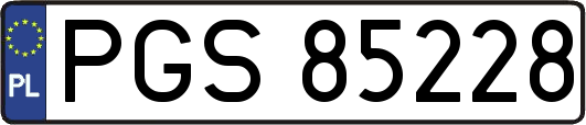 PGS85228