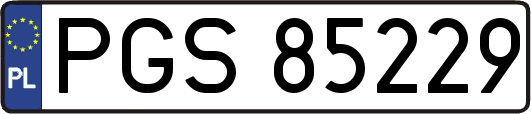 PGS85229