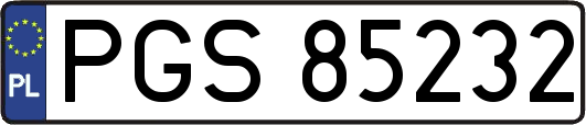 PGS85232