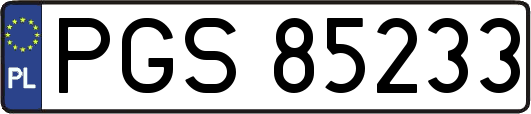 PGS85233