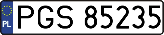 PGS85235