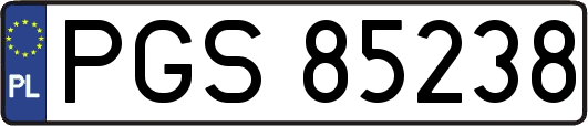 PGS85238