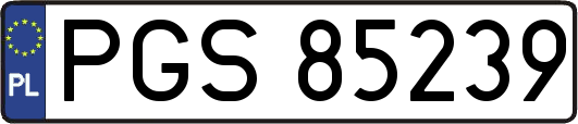 PGS85239