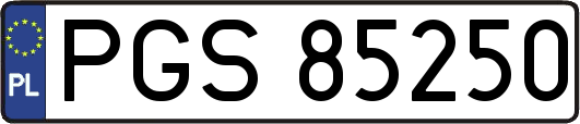 PGS85250