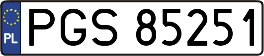 PGS85251