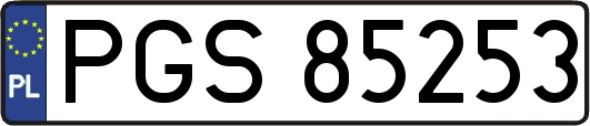 PGS85253