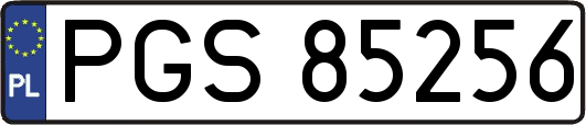 PGS85256