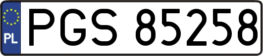 PGS85258