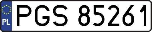 PGS85261