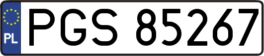 PGS85267