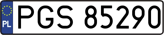 PGS85290