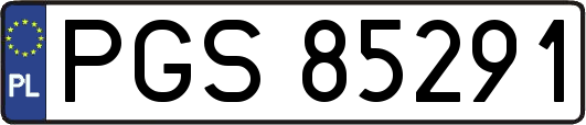 PGS85291