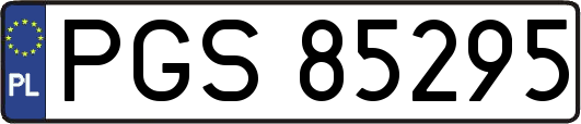 PGS85295