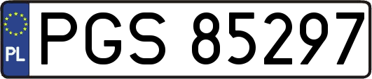 PGS85297