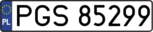 PGS85299