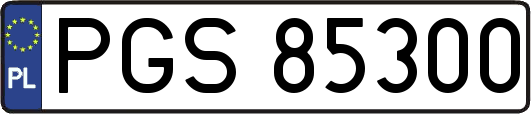 PGS85300