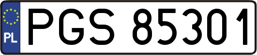 PGS85301