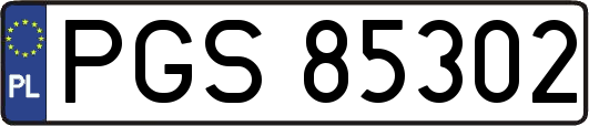 PGS85302