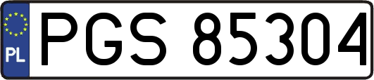 PGS85304