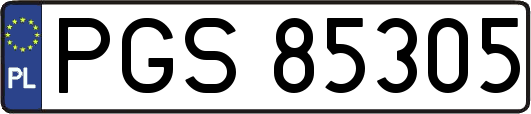 PGS85305