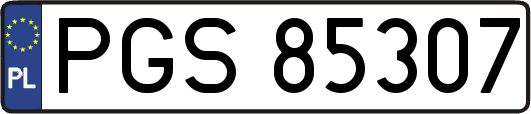 PGS85307