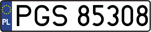 PGS85308