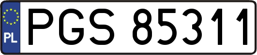 PGS85311