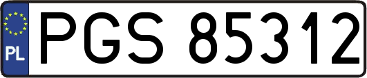 PGS85312