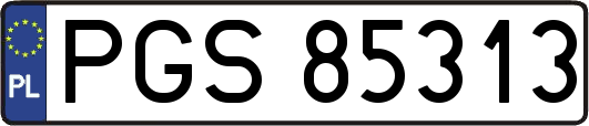 PGS85313