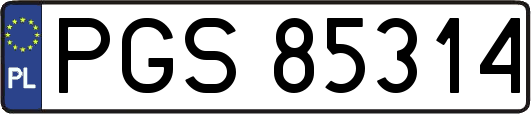 PGS85314
