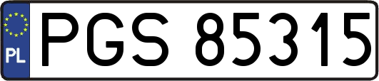 PGS85315