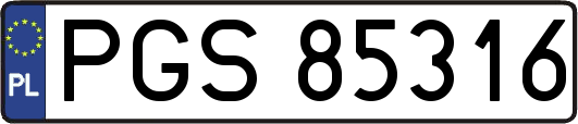PGS85316
